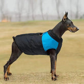 Waterproof insulated dog winter coat S to 7XL