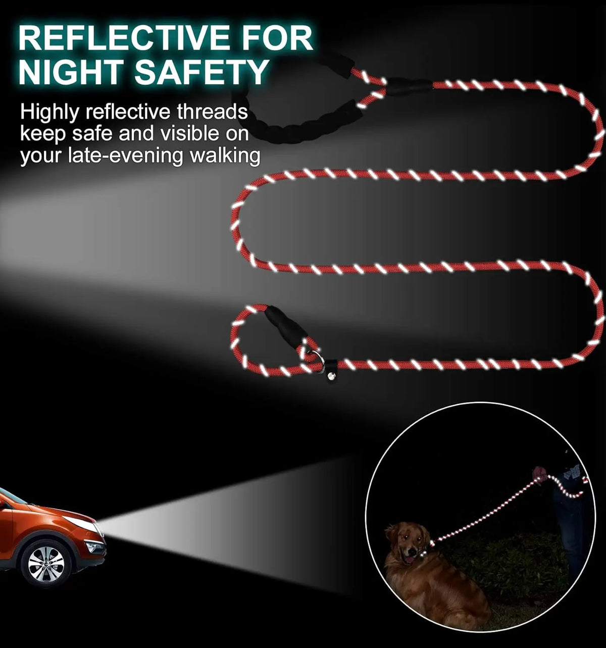 Reflective dog leash for all sizes, showcasing safety features for night visibility during evening walks.