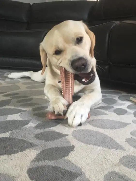 "Durable Dog Chew Toy for Oral Care - Teeth Cleaning Toy for Puppies and Mild Chewers"