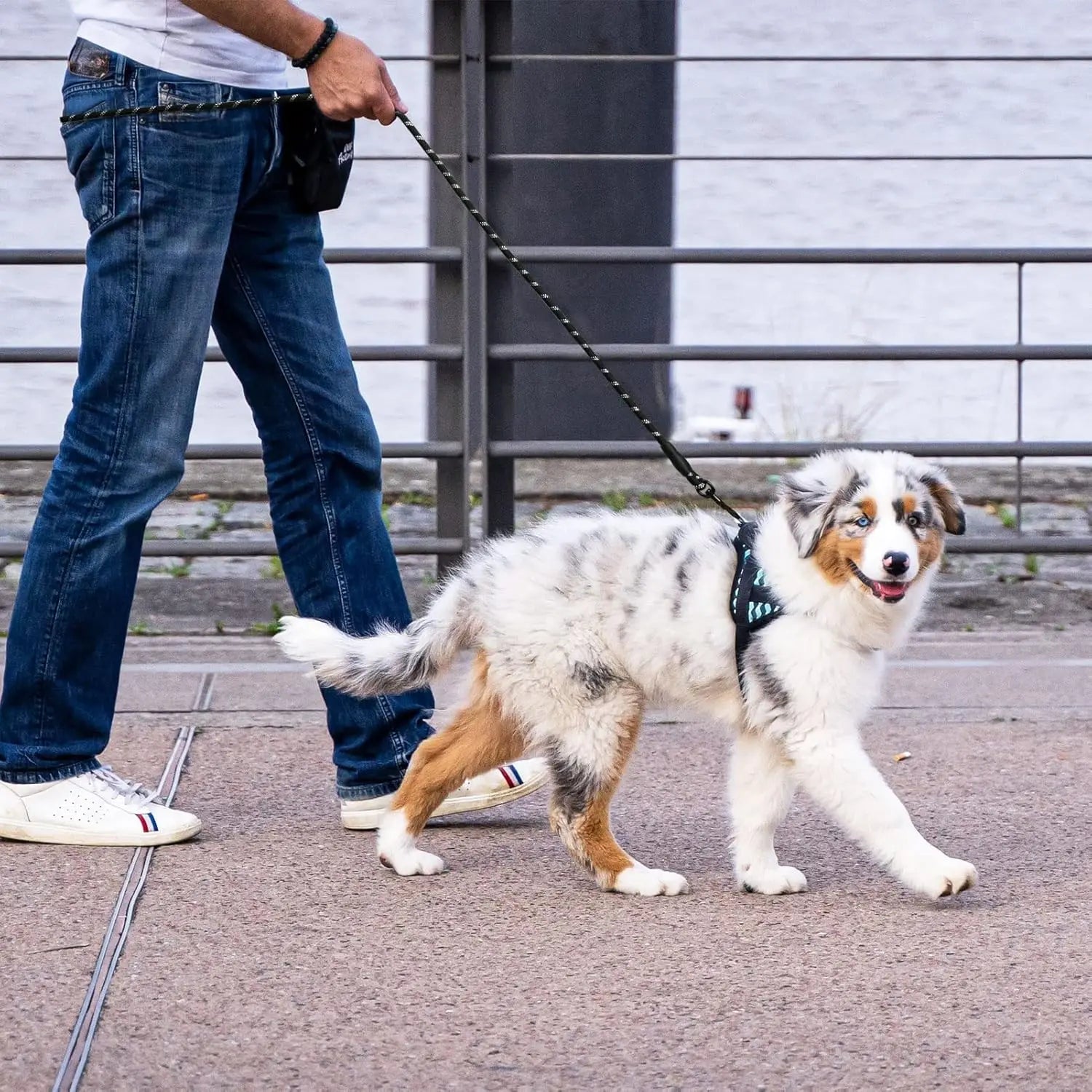 Dog leash, reflective at night, hand tight, suitable for large, medium, and small pet dogs