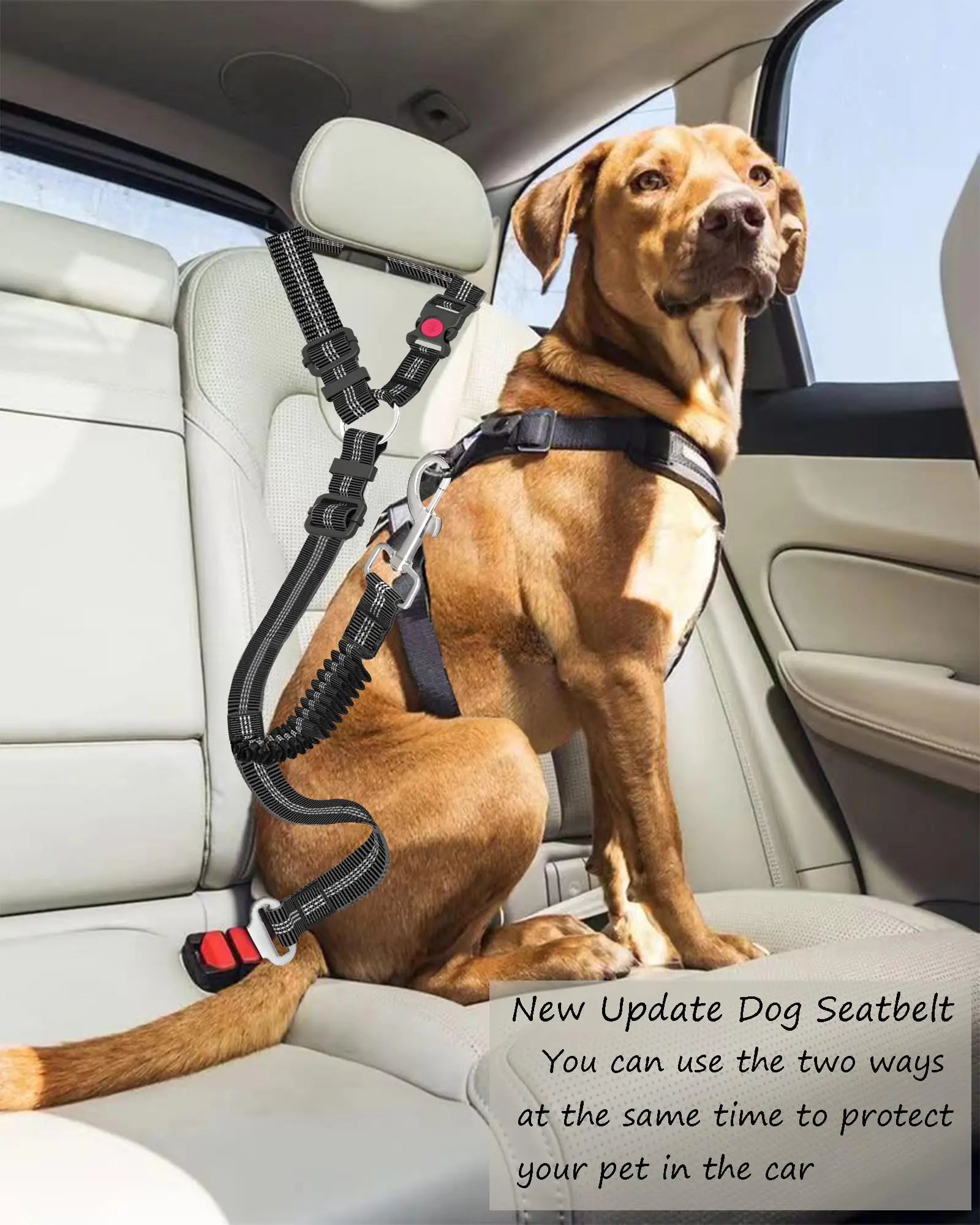 "Dog Seat Belt for Car - Dual-Use Adjustable Bungee Leash for Vehicle Safety and Headrest Attachment"