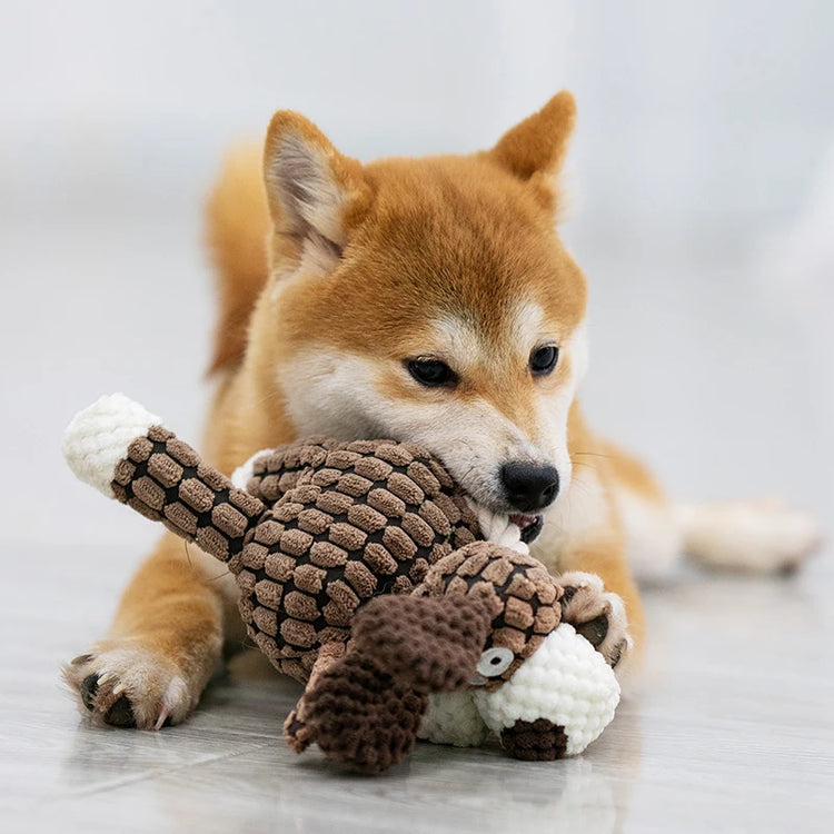 Dog playing with a brown and white textured toy on a light background