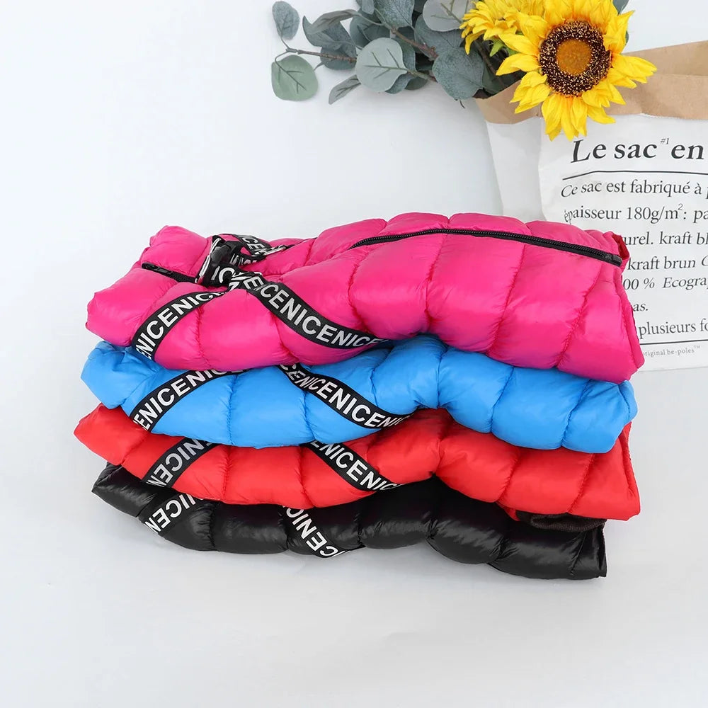 Winter Dog Clothes with Built-in Harness