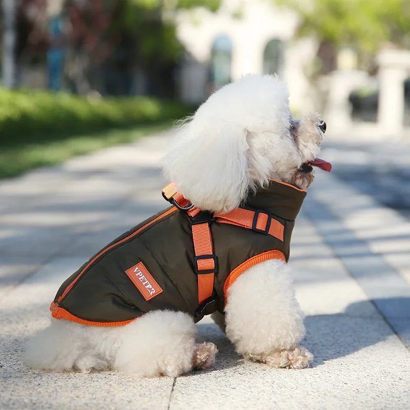Waterproof Padded Down Puppy Coat