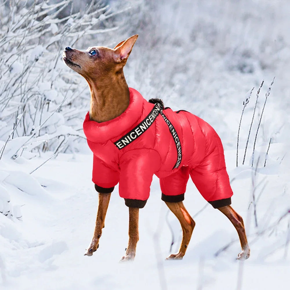 Winter Dog Clothes with Built-in Harness