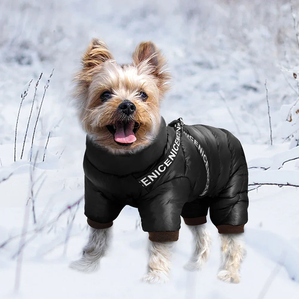 Winter Dog Clothes with Built-in Harness