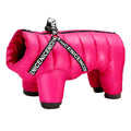 Winter Dog Clothes with Built-in Harness