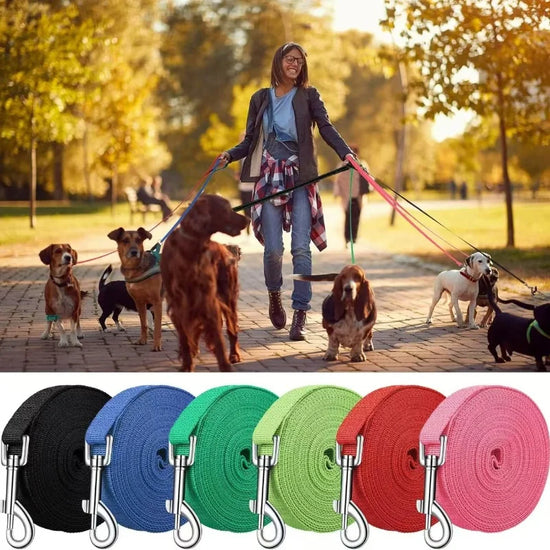 Multi-Color Long Nylon Dog Lead — 1.5m to 50m