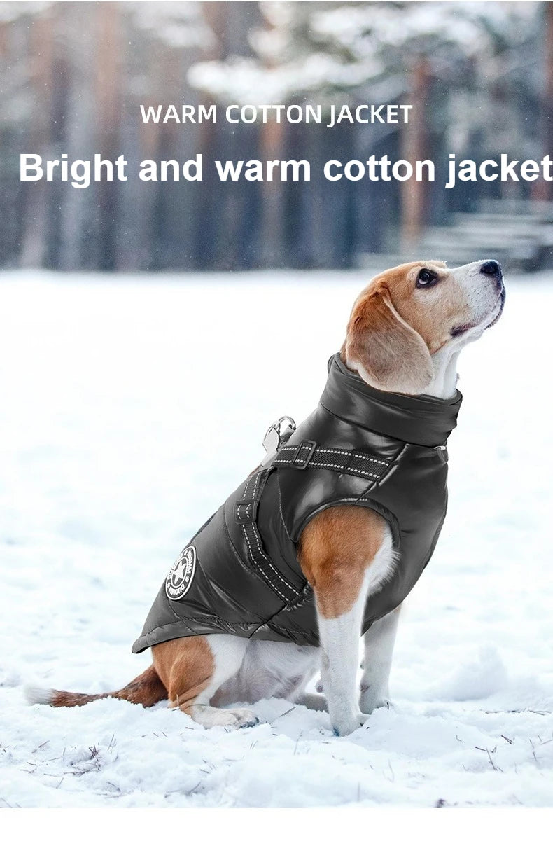 Waterproof Windproof Thermal Dog Jacket