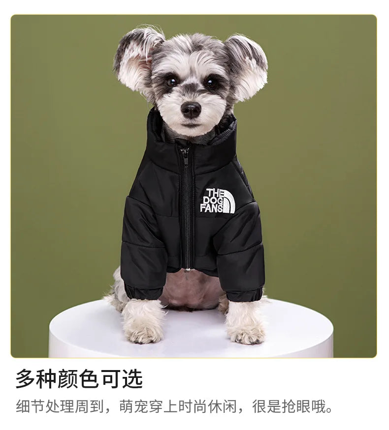 High Collar Waterproof Dog Winter Coa