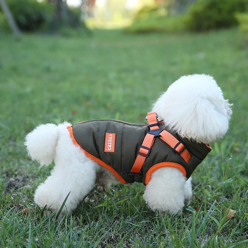 Waterproof Padded Down Puppy Coat