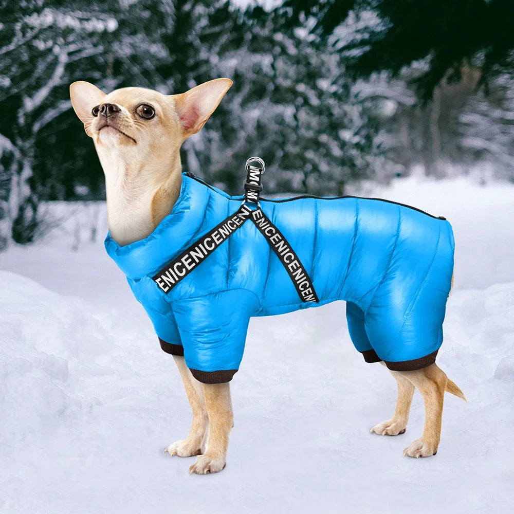 Winter Dog Clothes with Built-in Harness