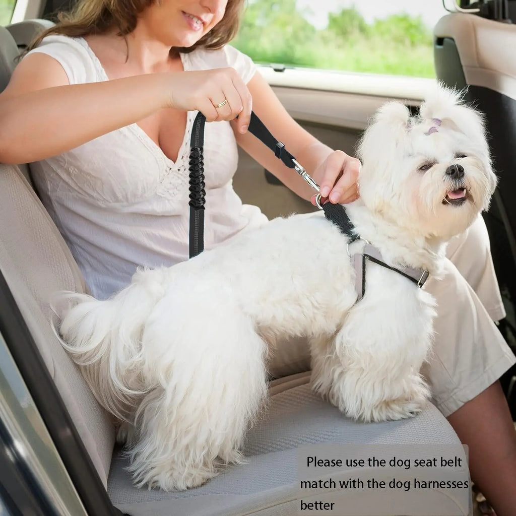 "Dog Seat Belt for Car - Dual-Use Adjustable Bungee Leash for Vehicle Safety and Headrest Attachment"