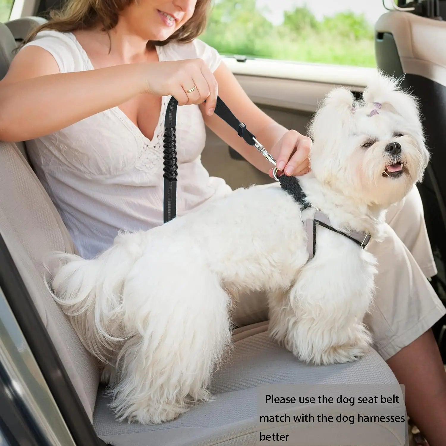 "Dog Seat Belt for Car - Dual-Use Adjustable Bungee Leash for Vehicle Safety and Headrest Attachment"