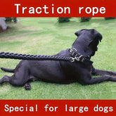 1.3m braided nylon dog leash used for walking and training