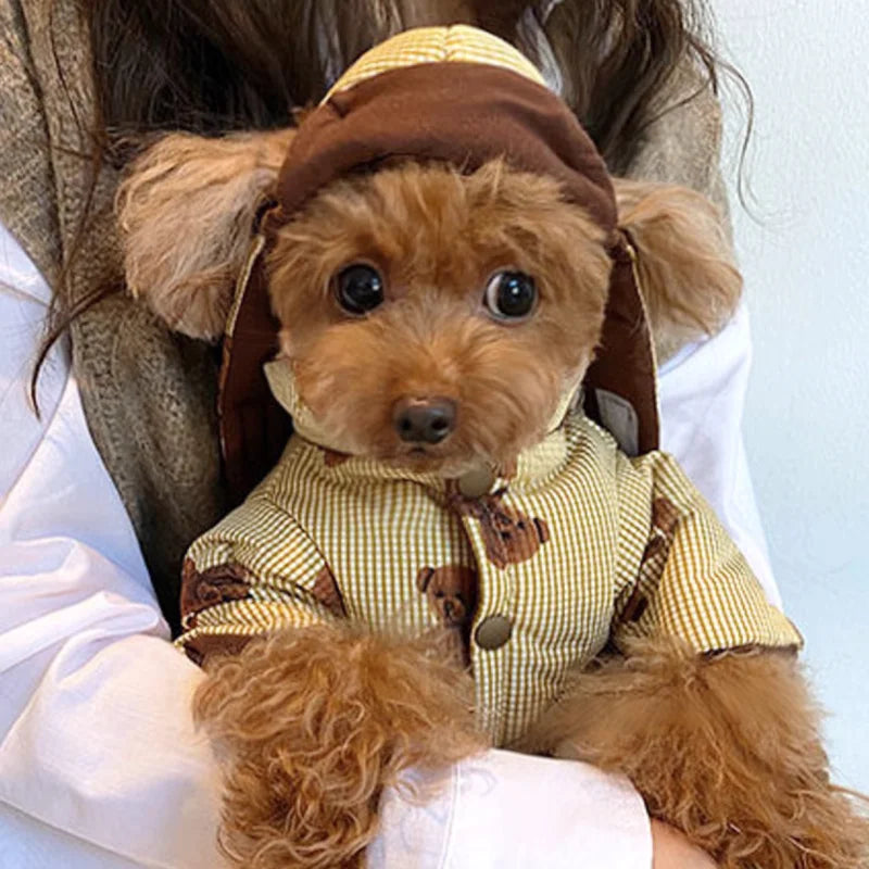 Winter Dog Jacket with Hat - Bear Print