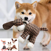 Dog playing with a brown dog toy, with inset images of other toys.