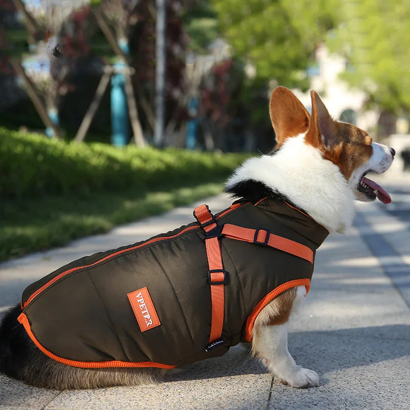 Waterproof Padded Down Puppy Coat