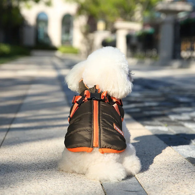 Waterproof Padded Down Puppy Coat