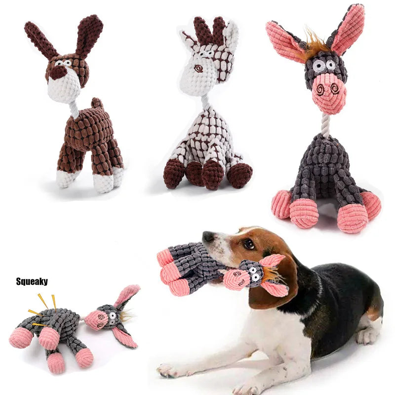 Dog playing with knitted toys on a white background