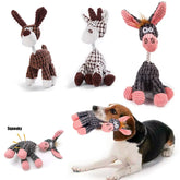 Dog playing with knitted toys on a white background