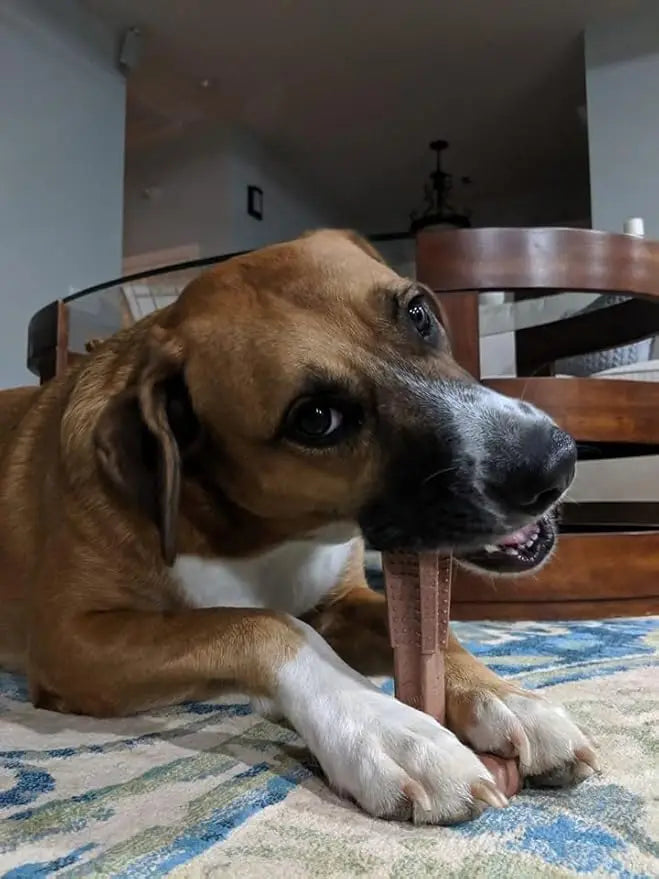 "Durable Dog Chew Toy for Oral Care - Teeth Cleaning Toy for Puppies and Mild Chewers"