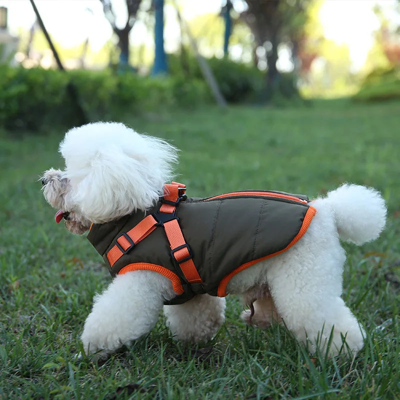 Waterproof Padded Down Puppy Coat
