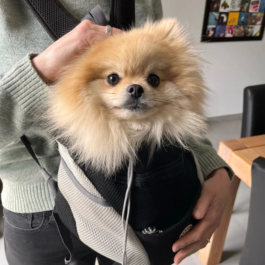 "Portable Pet Backpack Carrier - Mesh Front-Facing Double Shoulder Bag for Dogs and Cats"