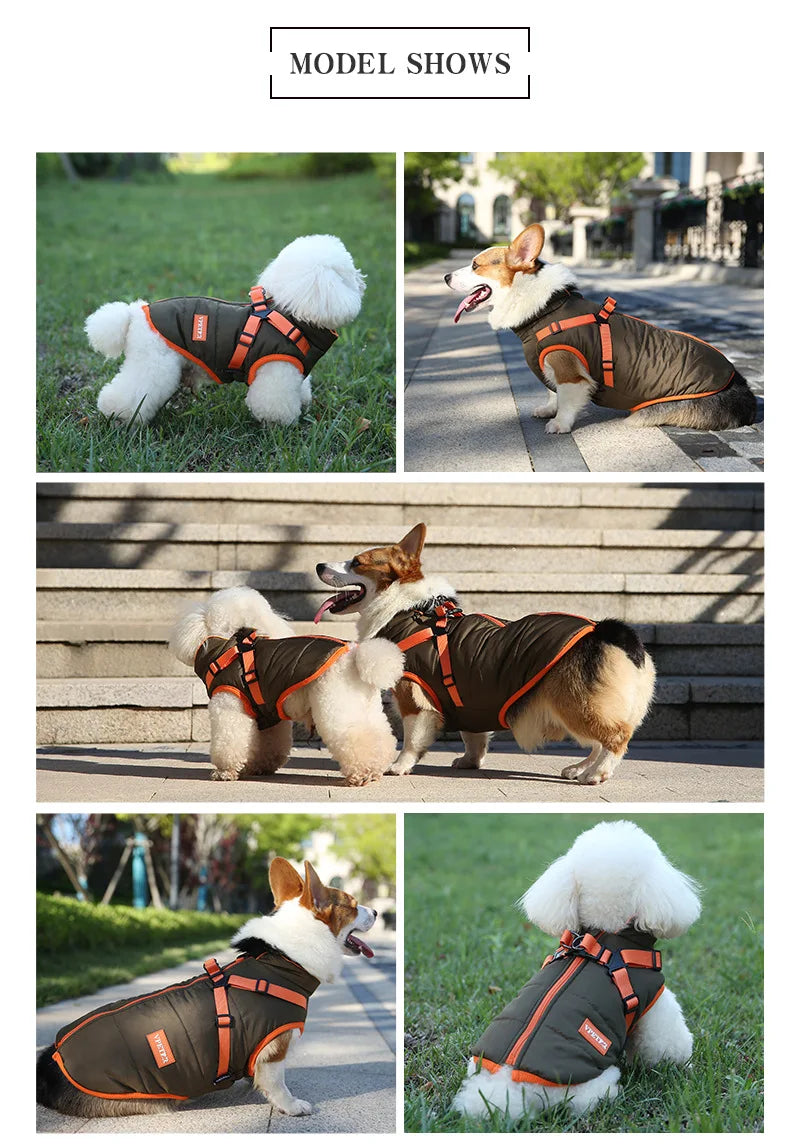 Waterproof Padded Down Puppy Coat