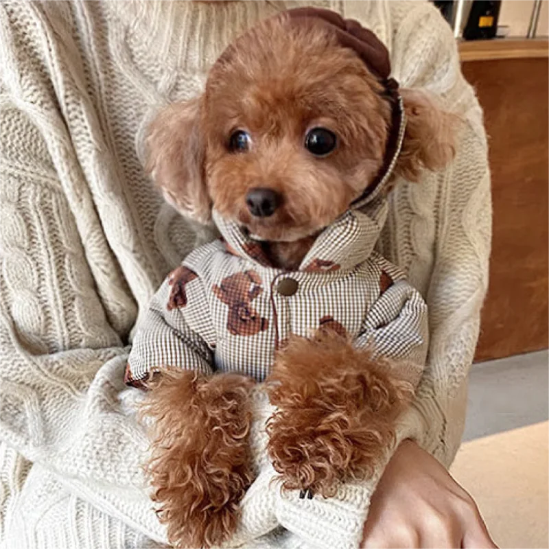 Winter Dog Jacket with Hat - Bear Print