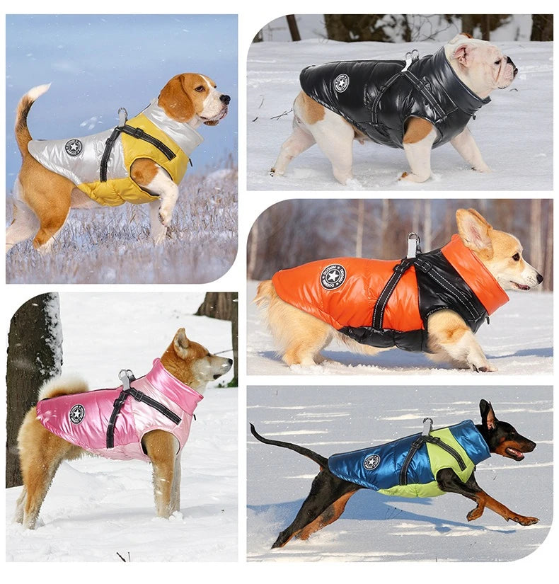 Waterproof Windproof Thermal Dog Jacket
