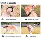 1.3m braided nylon dog leash shown during dog walking