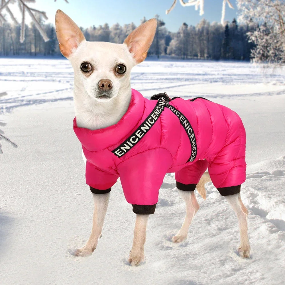Winter Dog Clothes with Built-in Harness