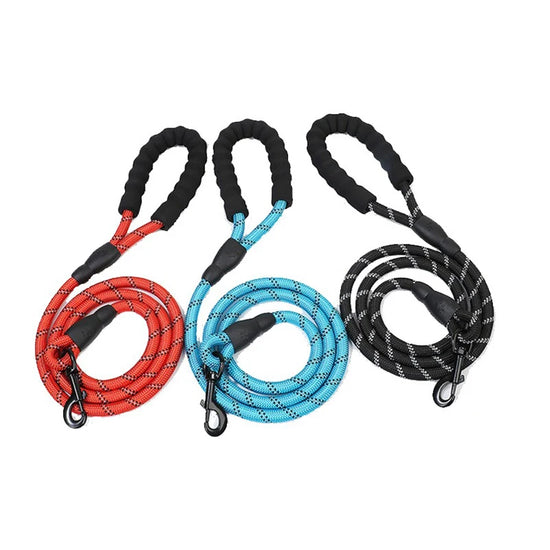 Heavy-Duty Slip Lead Dog Training Leash