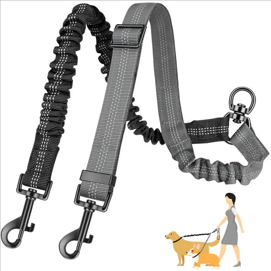 Elastic Double Dog Leash for Two Dogs