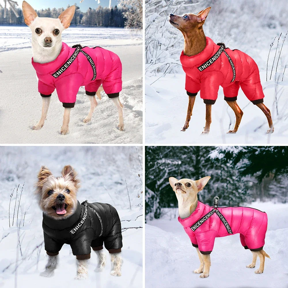 Winter Dog Clothes with Built-in Harness