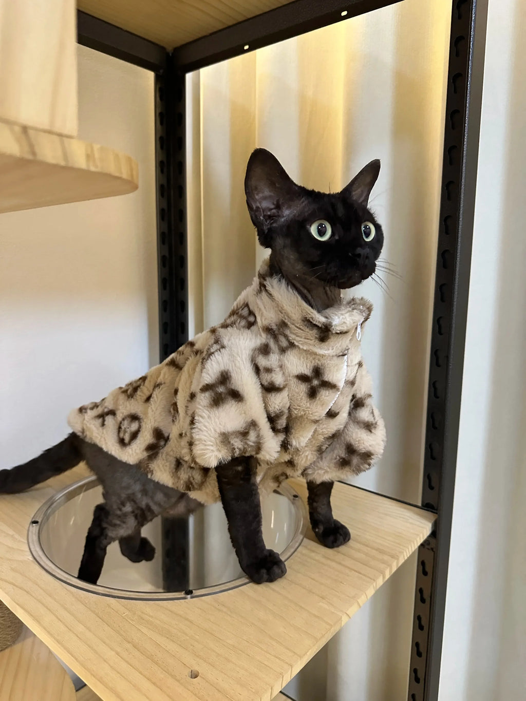 High-End Dog Winter Coat