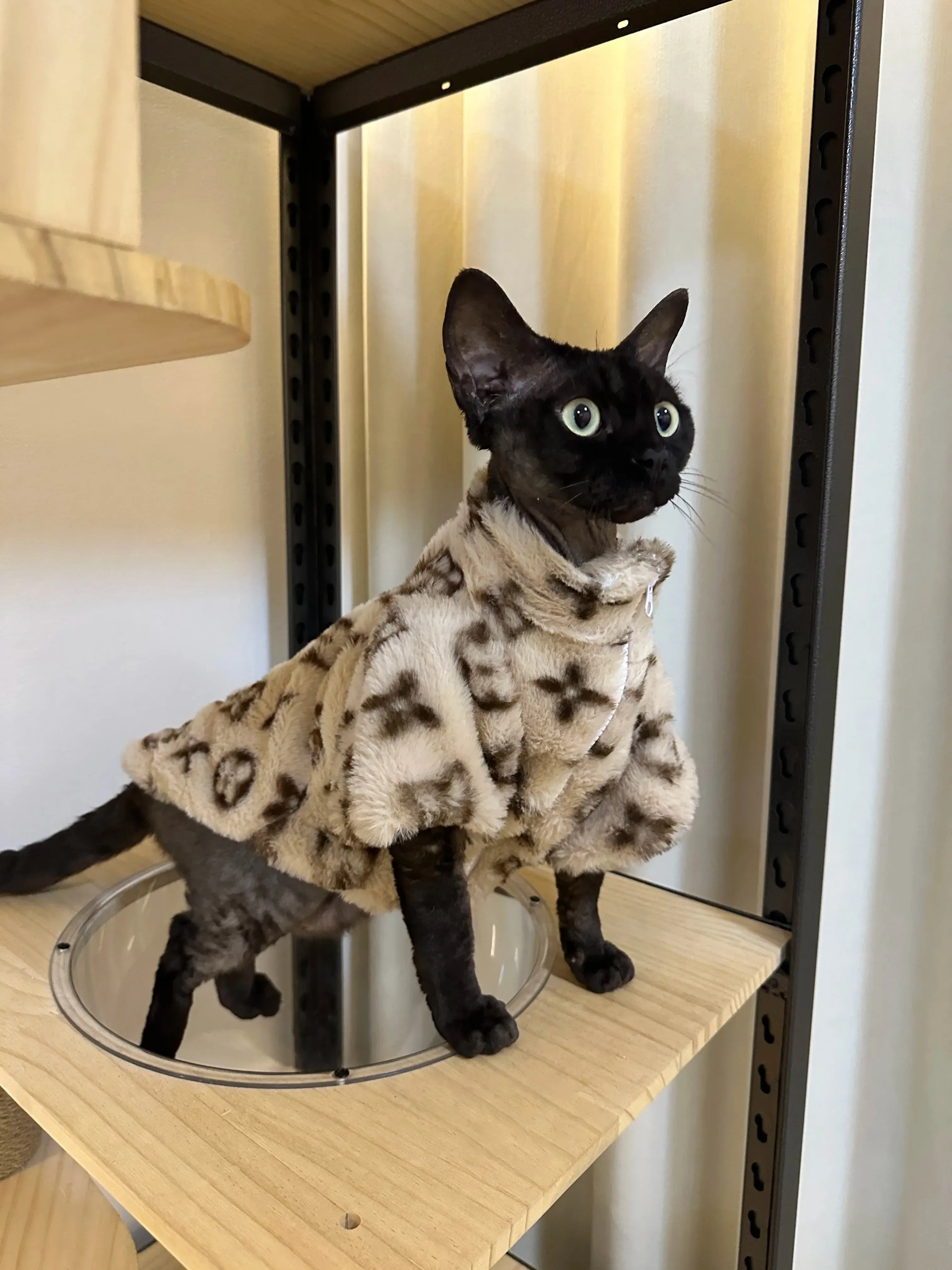 High-End Dog Winter Coat