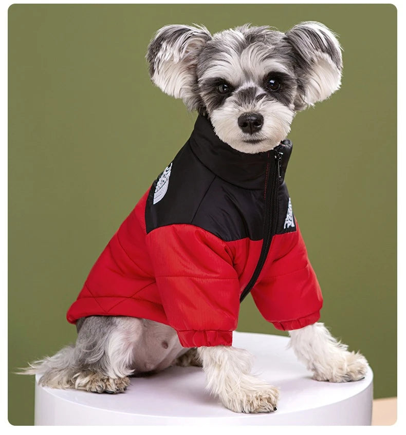 High Collar Waterproof Dog Winter Coa