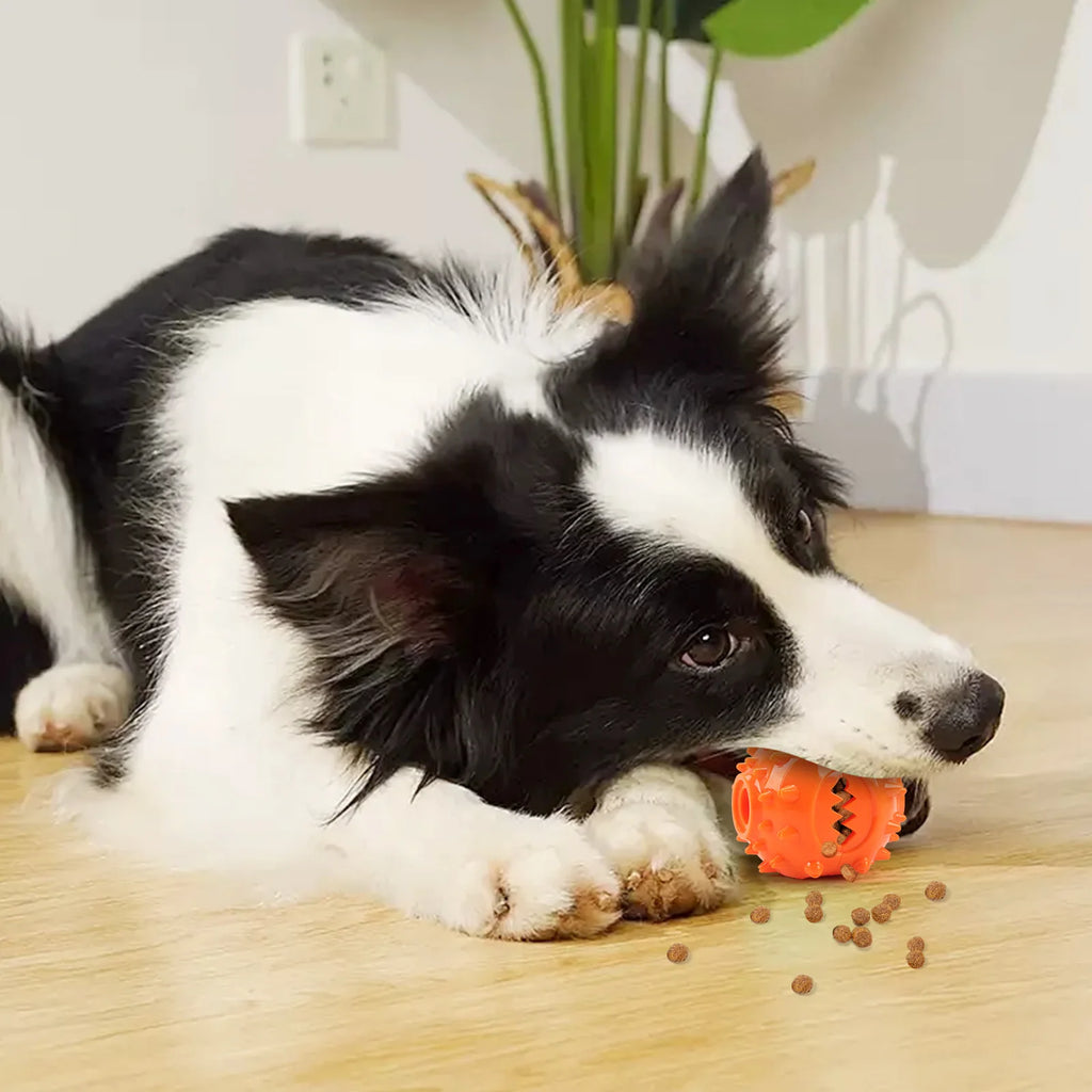 "Interactive Dog Treat Dispensing Ball - Bite-Resistant Self-Play Toy for Boredom Relief and Teeth Cleaning"